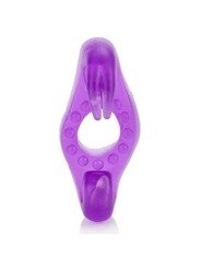 ANILLO ROCKIN RABBIT