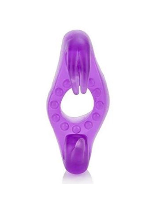 ANILLO ROCKIN RABBIT