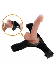 HARNESS UNIVERSAL KEVIN