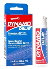 DYNAMO DELAY